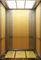 Elevatore di Fuji di 21 persona, elevatore del passeggero dell'ascensore di alta efficienza